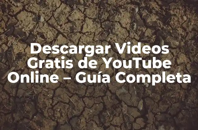 Descargar Videos Gratis de Youtube Online – Guía Completa