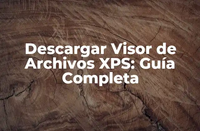 Descargar Visor de Archivos Xps: Guía Completa