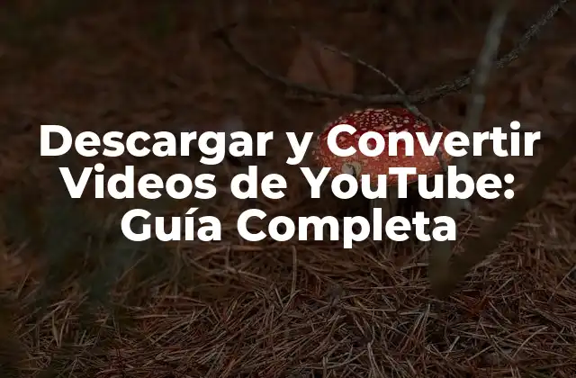 ¿Por qué Descargar y Convertir Videos de YouTube?