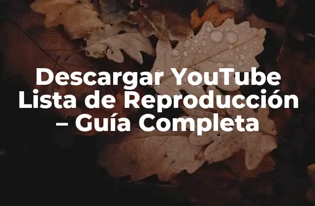 Descargar Youtube Lista de Reproducción – Guía Completa