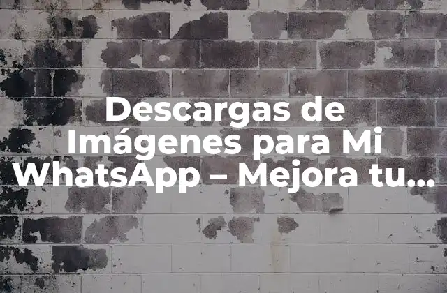 Descargas de Imágenes para Mi Whatsapp – Mejora Tu Experiencia de Mensajería