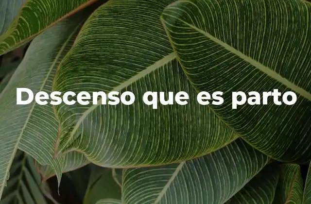 Descenso que es Parto