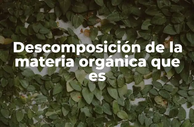 El ciclo natural que sustenta la vida