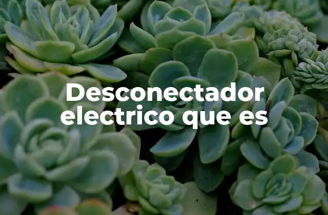 Desconectador Electrico que es