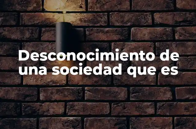 Desconocimiento de una Sociedad que es