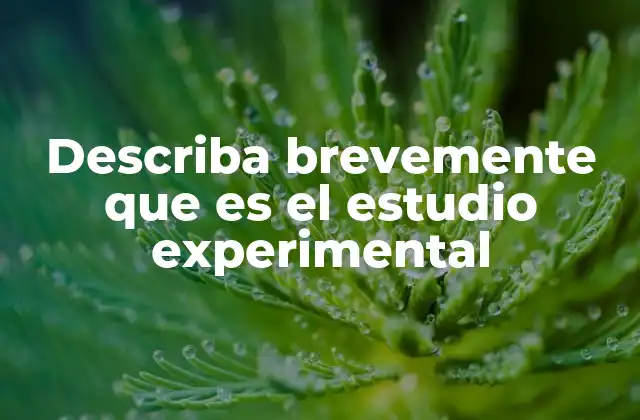 Describa Brevemente que es el Estudio Experimental