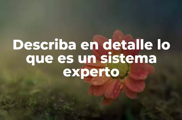 Describa en Detalle Lo que es un Sistema Experto