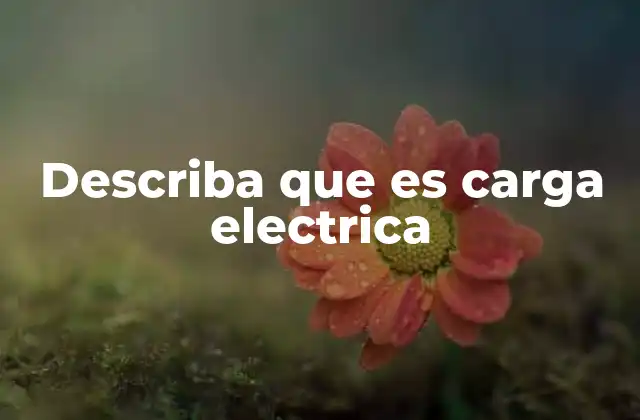 Describa que es Carga Electrica