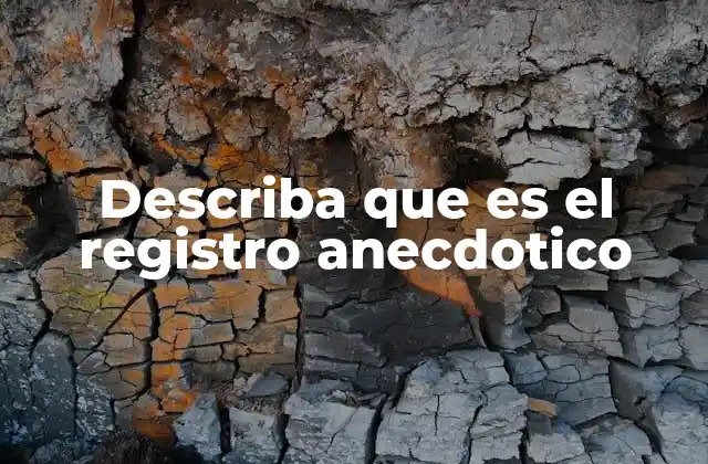 Describa que es el Registro Anecdotico