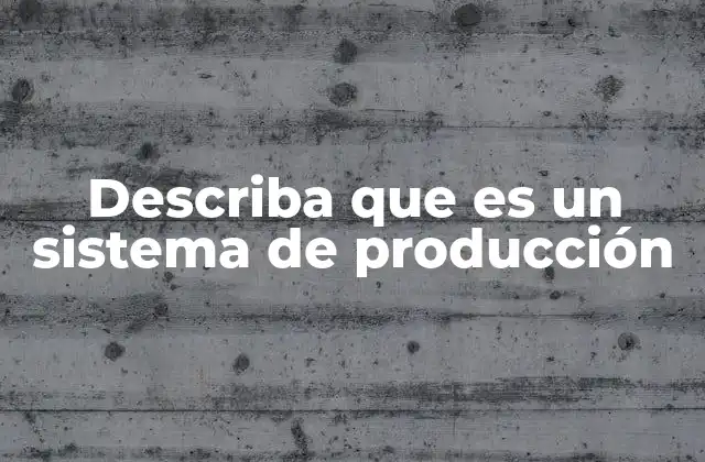 Describa que es un Sistema de Producción