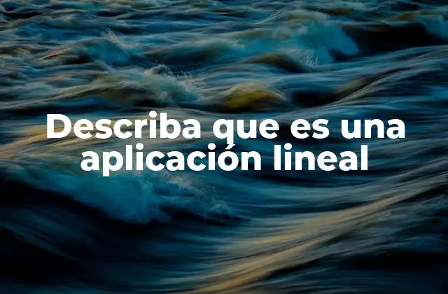 Describa que es una Aplicación Lineal