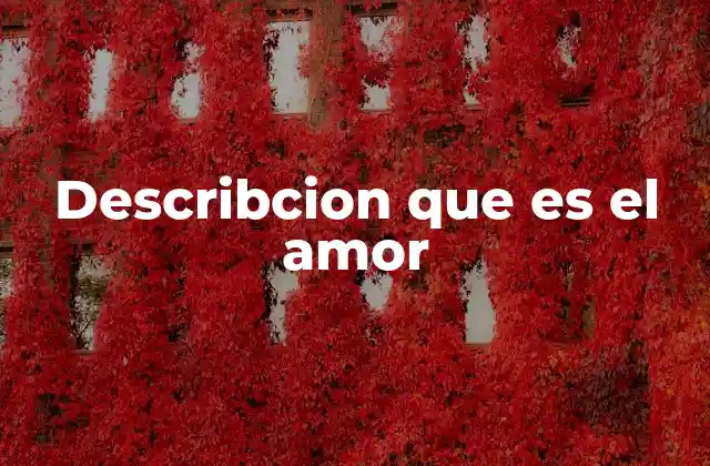 Describcion que es el Amor