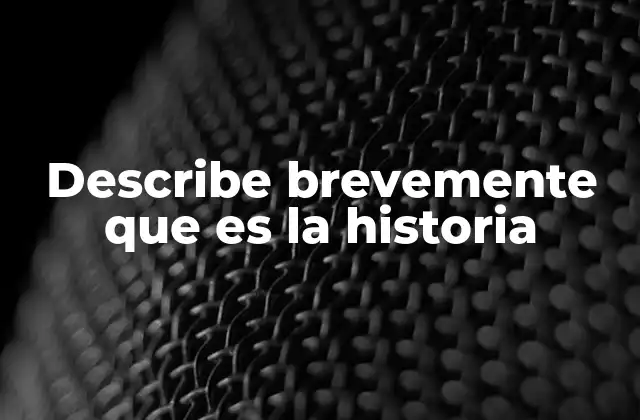 Describe Brevemente que es la Historia