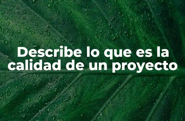 Describe Lo que es la Calidad de un Proyecto