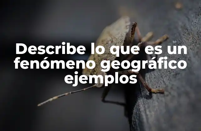 Describe Lo que es un Fenómeno Geográfico Ejemplos