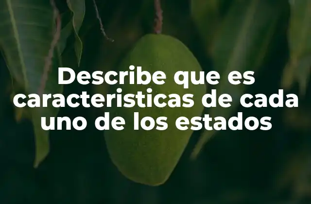 Describe que es Caracteristicas de Cada Uno de los Estados