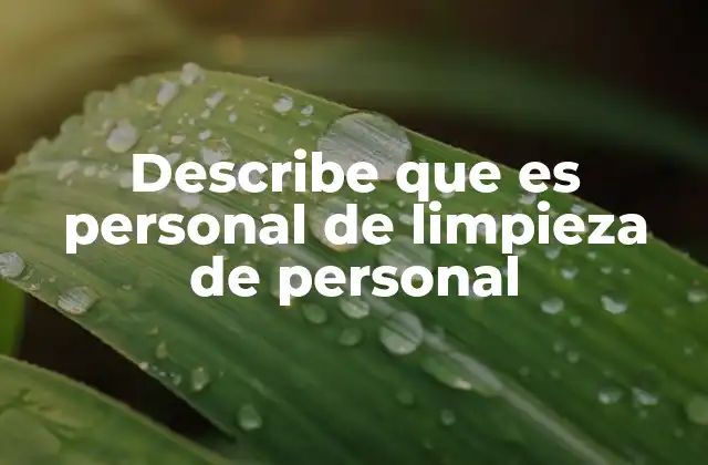 Describe que es Personal de Limpieza de Personal