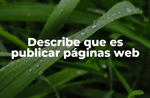 Describe que es Publicar Páginas Web