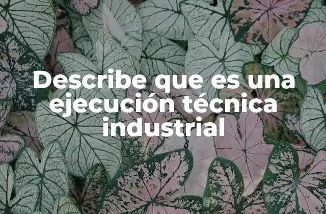 Describe que es una Ejecución Técnica Industrial
