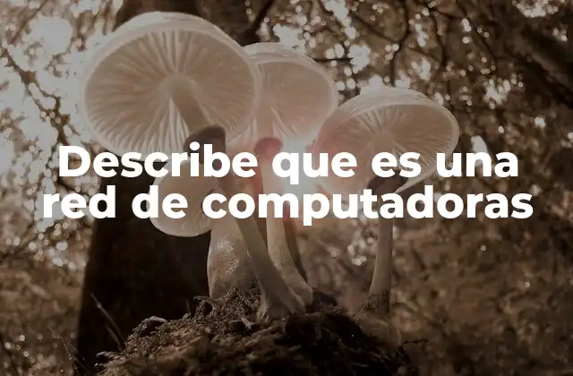 Describe que es una Red de Computadoras 2 Cómo las redes transforman la forma en que interactuamos con la tecnología