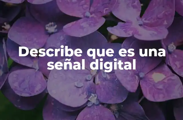Describe que es una Señal Digital