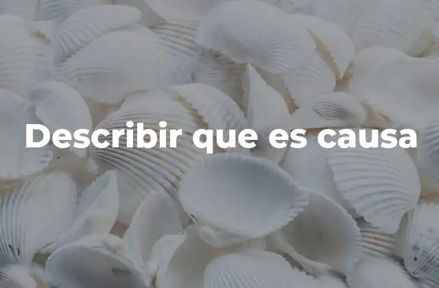 Describir que es Causa