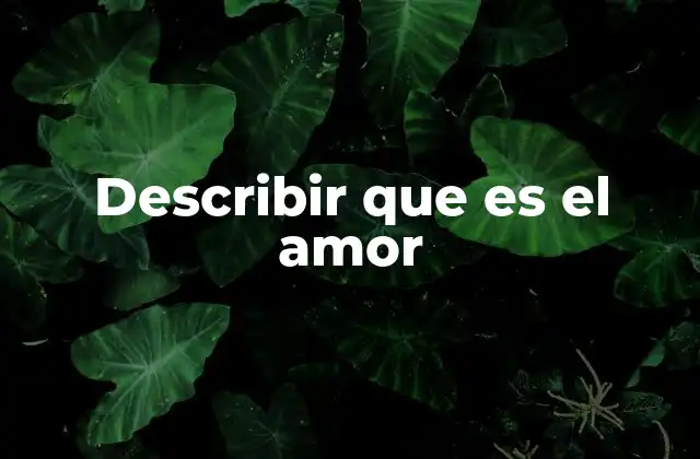 Describir que es el Amor