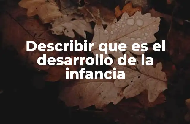 Describir que es el Desarrollo de la Infancia