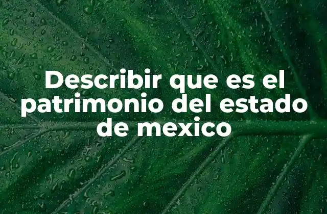 Describir que es el Patrimonio Del Estado de Mexico
