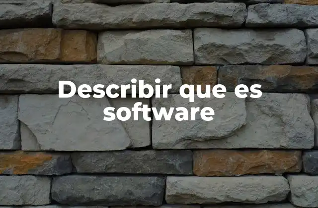 Describir que es Software