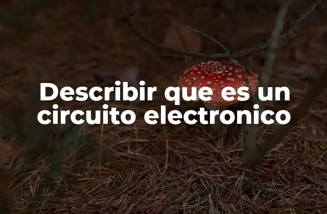 Describir que es un Circuito Electronico