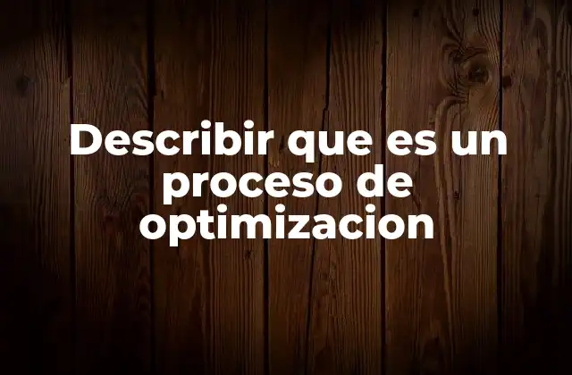 Describir que es un Proceso de Optimizacion