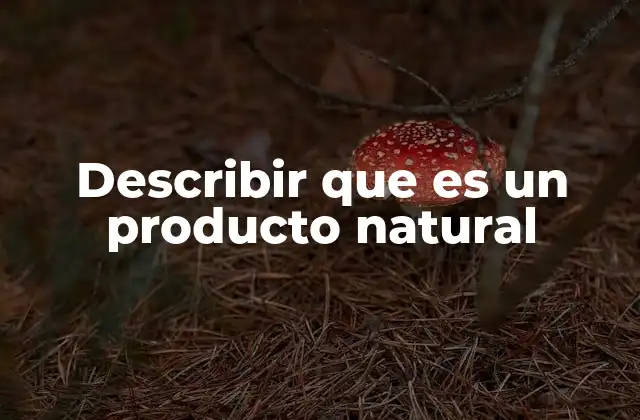 Describir que es un Producto Natural