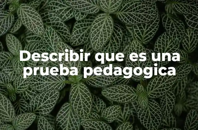 Describir que es una Prueba Pedagogica