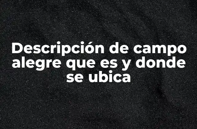 Descripción de Campo Alegre que es y Donde Se Ubica