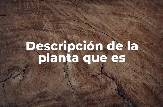 Descripción de la Planta que es 2 Características biológicas que definen a las plantas