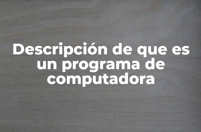 Descripción de que es un Programa de Computadora