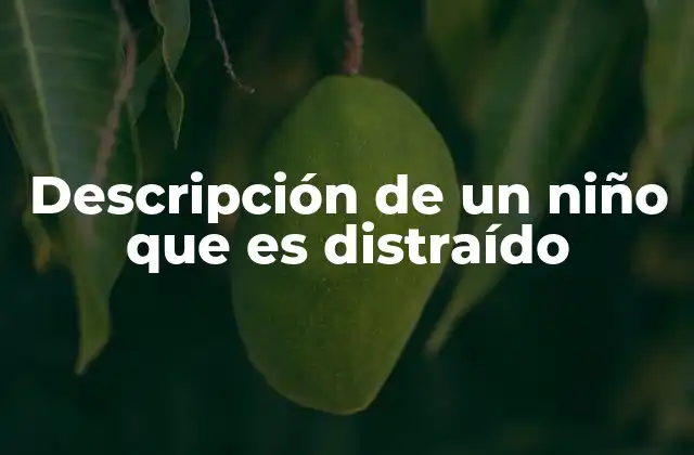 Descripción de un Niño que es Distraído 2 Características del comportamiento de un niño con tendencia a la distracción