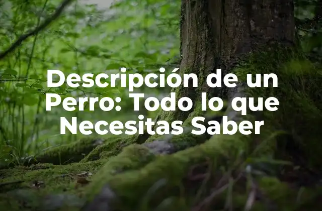 Descripción de un Perro: Todo Lo que Necesitas Saber 2 Características Físicas de un Perro
