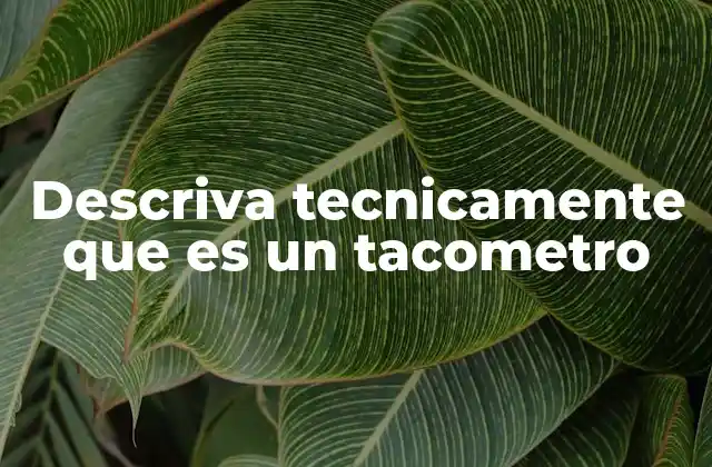 Descriva Tecnicamente que es un Tacometro