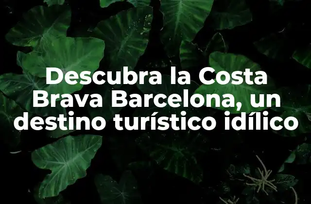 Descubra la Costa Brava Barcelona, un Destino Turístico Idílico