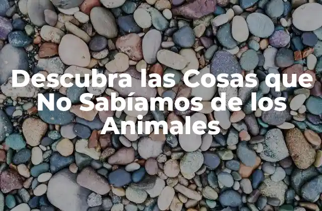 ¿Qué Tan Inteligentes Son los Animales?