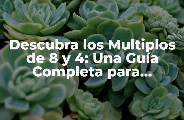 Descubra los Multiplos de 8 y 4: una Guía Completa para Entender las Propiedades de los Números