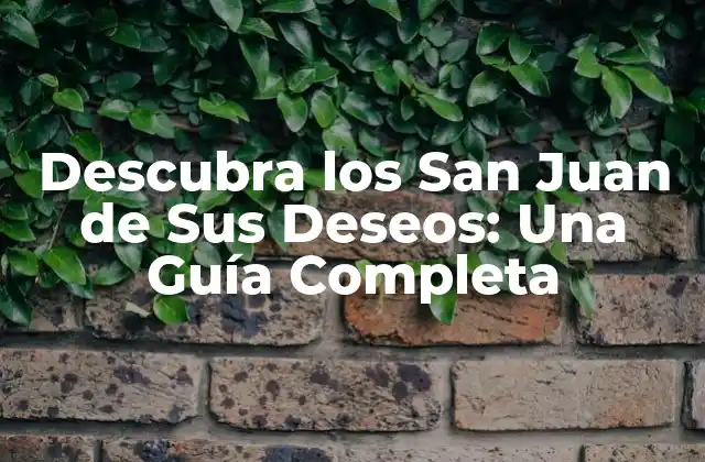 Descubra los San Juan de Sus Deseos: una Guía Completa