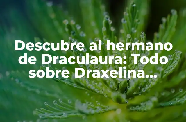 Descubre Al Hermano de Draculaura: Todo sobre Draxelina Dracula