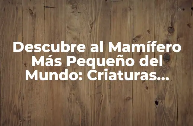 Descubre Al Mamífero Más Pequeño Del Mundo: Criaturas Sorprendentes
