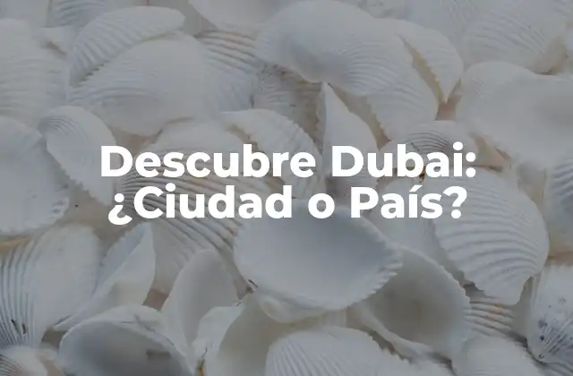 Descubre Dubai: ¿ciudad o País? 2 La Geografía de Dubai: Unidades Administrativas y Ubicación