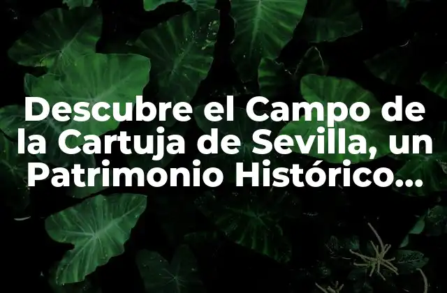 Descubre el Campo de la Cartuja de Sevilla, un Patrimonio Histórico Único