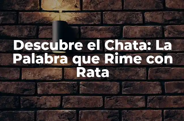 Descubre el Chata: la Palabra que Rime con Rata