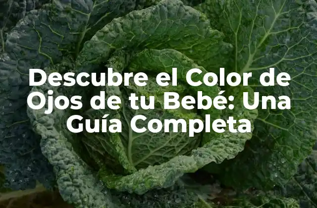 Descubre el Color de Ojos de Tu Bebé: una Guía Completa